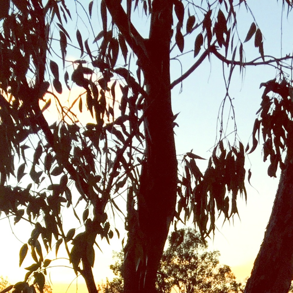 Meet your Posher, Claira